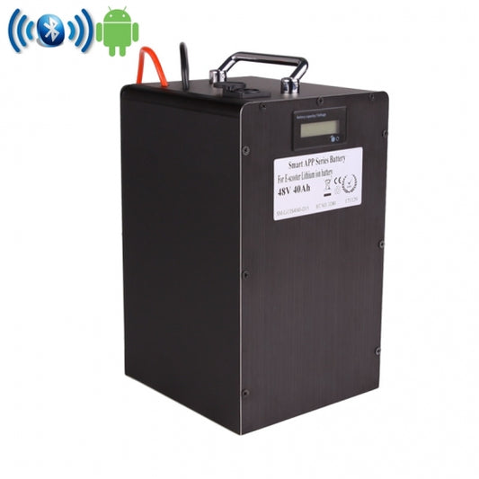 Smart Deep Cycle 48v 40Ah 1000W E-Bike LiFePO4 Battery Pack