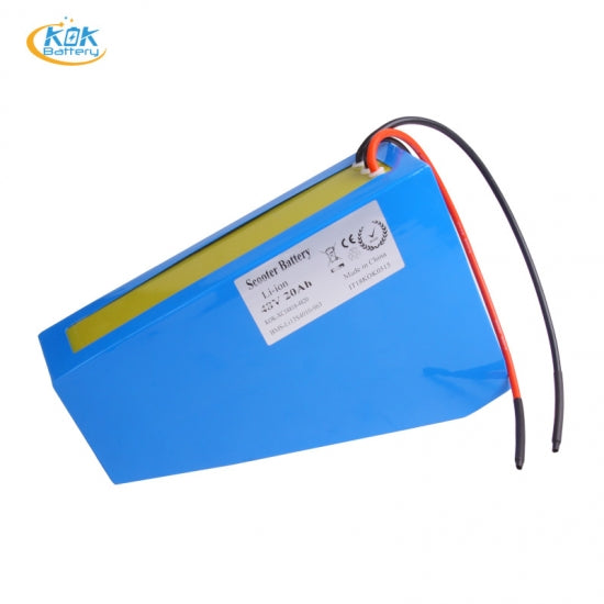 48V 1000W E-Bike 20Ah Li Ion Battery 48 Volt 18650 Batteries with BMS