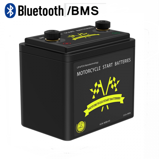 A123 26650 M1B Motorcycle Start Batteries with Bluetooth Monitor LiFePO4 12V 390CCA Pb-Eq 21-24Ah