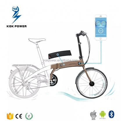 Folding E-Bike Lithium Ion E-Bike Battery Pack 36v 10Ah 18650 Cell