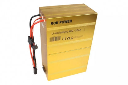 48v 30Ah SXT Scooter Lithium Ion Batteries Pack