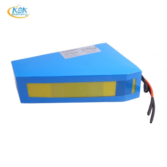 48V 1000W E-Bike 20Ah Li Ion Battery 48 Volt 18650 Batteries with BMS