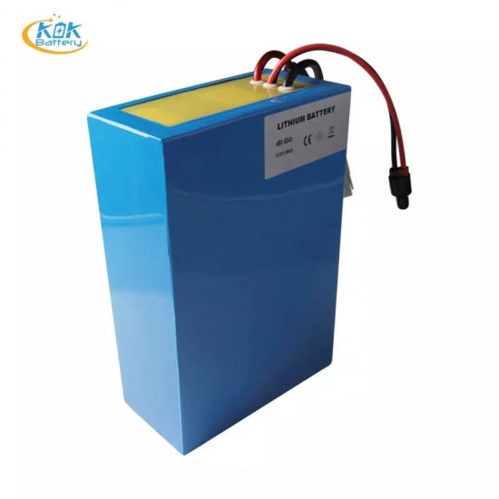 48V 36v 20Ah 40Ah 18650 Cell 80A Eletric Scooter Citycoco Lithium Battery Pack